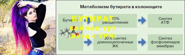 гидра Богородицк