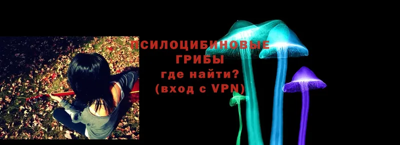 Галлюциногенные грибы MAGIC MUSHROOMS  где найти   Воронеж 